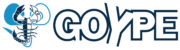 Goype – Servicios de Impresión DTF, camisetas personalizadas y más…
