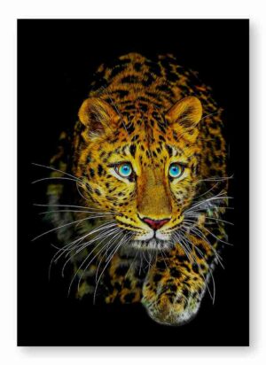 Leopardo #1